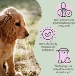 FAVLY Petfood PURE Bites Veggie 360 G 9 FAVLY Petfood PURE Bites Veggie 360 G -Hochwertiger Tierbedarfsladen bec0cf8f032cb202461664cbfe5564f4eeab2e9b 1474000 de DE 9c441cea117e17df2d31039760b88fa0cc1eb6acALFkfB