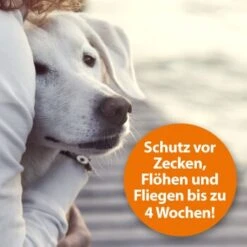 Ardap Zeckenspray Zur Anwendung Am Tier 250ml 12 Ardap Zeckenspray Zur Anwendung Am Tier 250ml -Hochwertiger Tierbedarfsladen c211242df7e08f33fd5b606730fbf3d298e6cd4c 1288166 de DE 0495e7c3c66b5adb548c78a490f9c5a9804bc777AYMdPn