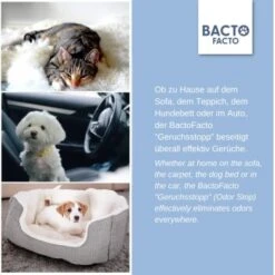 ChronoBalance BactoFacto Probiotischer Geruchsstopp Pads Für 2 Liter 20 Ml -Hochwertiger Tierbedarfsladen c27e75fc226c89e592b2af9866887997e79057a8 1397549 de DE 11eaf103bff429178d8c79950fc83faf63345183BU6JEF