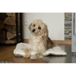 TrendPet Heaven Gefütterte Liegedecke Beige XS -Hochwertiger Tierbedarfsladen c5c66fc687d35a3e6773ef1448666519ab0b2e08 1247692 de DE 81f160c83e2294ffce25bd46e4e5f7822b6791cdSRCcNt