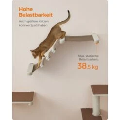 FEANDREA Clickat Katzen-Kletterhängematte -Hochwertiger Tierbedarfsladen c7ac0035e3564741d097d2ee84db69558fcbeb36 1681422 de DE 69b299a2a0b5f1d93e61abe664375afb5e8ca6e9sZQMir