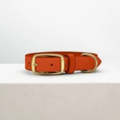 THE DOG IDEA Leder Halsband Orange M -Hochwertiger Tierbedarfsladen c8786622c4ddb3c106babce32bff1fb4253e061b 1674196 de DE 714570c14a0e5bbdd38df31b81343bdc05cedccbKoLmZ8