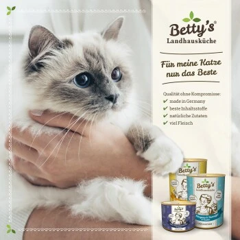 Betty's Landhausküche Frischebeutel Huhn Mit Lachs 12 X 100g Für Katze 7 Betty's Landhausküche Frischebeutel Huhn Mit Lachs 12 X 100g Für Katze – Bild 5