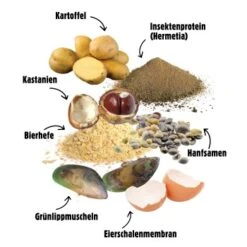 Eat Small EatSmall 10x Snacks Mobility 13 Eat Small EatSmall 10x Snacks Mobility -Hochwertiger Tierbedarfsladen cd559bb22e5cb843e5d55f48a0000050c69ee1fd 1480043 de DE c061c493f5d6cca99df67cb07fe61953e4b50fff4ALAmy