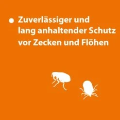 Ardap Spot-On Für Hunde M 13 Ardap Spot-On Für Hunde M -Hochwertiger Tierbedarfsladen ce2959b1e1be923f1af3be0cd5f5d2424ae41659 1150898 de DE 123c08947d68d259b6ba6ec3ce1852e52370e4d7CGAnSw