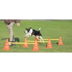 Trixie Dog Activity Hindernisse Ø23x30cm -Hochwertiger Tierbedarfsladen cf5032631aac0df221da4281f2bf49a2321f1aa1 1287032 de DE Trixie Hindernisse wb 1