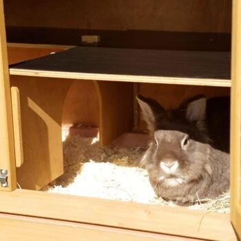 Kerbl Nagerstall Appartement Pro 6 Kerbl Nagerstall Appartement Pro – Bild 4