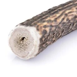 Larsson Geweih XL Ca. 160-250g -Hochwertiger Tierbedarfsladen d0ea2d0dd81916c0771ab948a0ba526456c57531 1057934 de DE 33de9f3780cd9591638692dec708fc97aaea117cMdAURQ