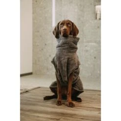 Lills Lill's Hundebademantel "Night Blue" 35 Cm -Hochwertiger Tierbedarfsladen d200b579b2b65ad9031ca5a6286c317e485ef232 1653379 de DE 98bc74239c4ab048310224eeb67c837697c0c318SRPWrI