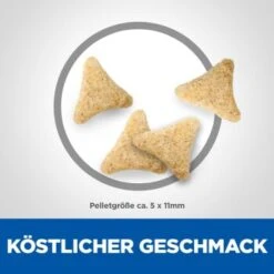 Hill's Science Plan Hairball Indoor Adult Mit Huhn 3 Kg 15 Hill's Science Plan Hairball Indoor Adult Mit Huhn 3 Kg -Hochwertiger Tierbedarfsladen d22915eed5f581b2aadd8692cf33e6afbd622437 52742024011 6