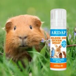 Ardap Milben- Und Zeckenspray Für Nager Und Vögel 100ml -Hochwertiger Tierbedarfsladen d31b218e2707befec7754c8083065f70356158d1 1352522 de DE fd4048a952551f3b8f11c9f32d59e37afe6befe8yARYDP