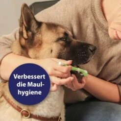 Canosept Zahnpflege-Set Für Hunde -Hochwertiger Tierbedarfsladen d3527ed20311c26905cc21d326812cefdd56476d 1382706 de DE f1dd7678e896b8abfecbaf661ecaf238a0e628638erujn