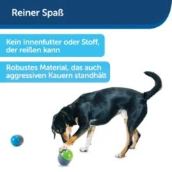 PetSafe Elektronisches Hundespielzeug Ricochet -Hochwertiger Tierbedarfsladen d4449f153a2c132dbacdcffdb9e5bd1534d39124 1418724 de DE f83cfc689e8023f0b85b6eeadf79a2629df4d4f153I9wY