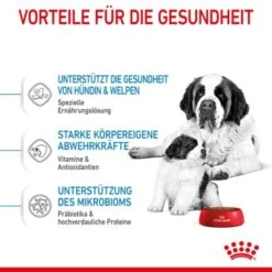 ROYAL CANIN Giant Starter 15kg -Hochwertiger Tierbedarfsladen d514ef03606b57b35e1895eeb5926efaddf3e02c 3182550778831 5