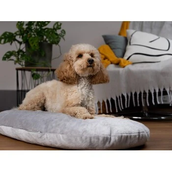 TrendPet Emma Liegekissen Grau S 4 TrendPet Emma Liegekissen Grau S – Bild 2