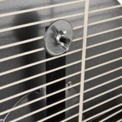 Wagner Montana Cages Metall-Laufrad Ø 38cm -Hochwertiger Tierbedarfsladen d617bd4dfbc1724778c20b1c5755c0a1ef592d48 1484280 de DE 05a82c0dc36325300cf7e58e8159a2a6bf92c5f4CacJUu