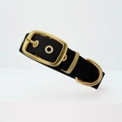 THE DOG IDEA Biothane Halsband Gold Schwarz XS -Hochwertiger Tierbedarfsladen d9e3ff0533f005d4ea9574e709549404fe1017df 1655410 de DE e623b6a0565fba7c060dba5e6a356eabf0949a0ex5afTX