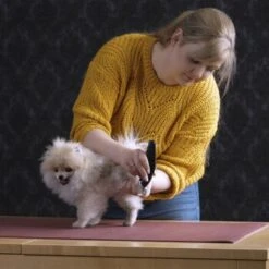 Moser Schermaschine Prima -Hochwertiger Tierbedarfsladen da8348161ac6e8787c09ae73b9b5f316a4fd6793 31c72b41f6f3e163860855ae57a59606aac37864