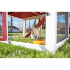 AniOne Kleintierstall Woody Ranch -Hochwertiger Tierbedarfsladen db28ed601cc7e596f155015c17f7fdf71fd47419 1351785 de DE AniOne.10