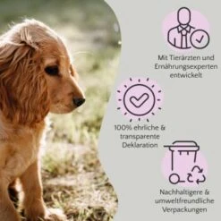 FAVLY Petfood FAVLY Probierpaket "Starter" 17 FAVLY Petfood FAVLY Probierpaket "Starter" -Hochwertiger Tierbedarfsladen dbf0342643afa9a24ad89aa12b091729873bd5f5 1475313 de DE 908544d2c24927cde4ce8f1acefe41ebea7bec298Nltw8