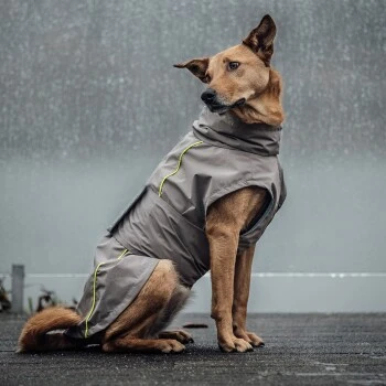 THE DOG IDEA Regenmantel Duke Greige XXXS 8 THE DOG IDEA Regenmantel Duke Greige XXXS – Bild 6