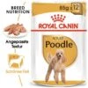 ROYAL CANIN Poodle Adult In Soße 12x85g -Hochwertiger Tierbedarfsladen dd3d2a3937fcef6523897d2f0829a822b2d67a08 5b515c9119f1a1d4a4b01e183f307ad7d5b90feb