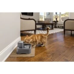 PetSafe Trinkbrunnen 1,8 L 15 PetSafe Trinkbrunnen 1,8 L -Hochwertiger Tierbedarfsladen df488cf045110a6e0d24fcded3d81de07583d88a 1323706 7