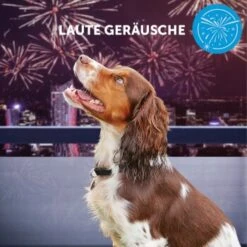 ADAPTIL Calm Halsband Anti Stress Erziehungshalsband S-M -Hochwertiger Tierbedarfsladen e065c94a1eadac38177e4f3120e975f32282355e 1204441 10