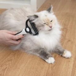 KaraLuna Unterfellbürste -Hochwertiger Tierbedarfsladen e0e7f4b3ef49c70421b21094c2615519c93a1a3e 1407475 de DE 78030a6cd3af146aa7eb3f83fa2322b52c78816a2jpF0U