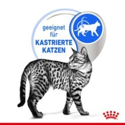 ROYAL CANIN Indoor Sterilised 12x85g In Gelee 10 ROYAL CANIN Indoor Sterilised 12x85g In Gelee -Hochwertiger Tierbedarfsladen e0f30f9a28c4a2b10156c12b92347b4c5a9b1e23 8c952aa18fe09440ca4c62569fbc775fe9fd6239