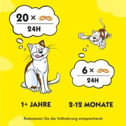 Dreamies Snack-Vielfalt 12x60g -Hochwertiger Tierbedarfsladen e1b190f4f53100ff83c0fb6481ba747fb1f78bad 1297459 2