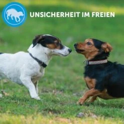 ADAPTIL Calm Halsband Anti Stress Erziehungshalsband S-M -Hochwertiger Tierbedarfsladen e220fc002f83144152ad7157c15120ad2d9d8471 1204441 8