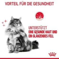 ROYAL CANIN Hair & Skin 12x85g In Soße -Hochwertiger Tierbedarfsladen e2d81ab81d31e0f585394370ccf8b63bb2844395 1099143 5