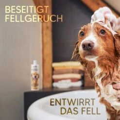 Pawlie's Hundeshampoo Für Langhaar -Hochwertiger Tierbedarfsladen e65234d72e0adb949f3fa491484e6ad7c7481584 1626203 de DE ce4f7e431ef810d9abd2a895abbb82da132a6dd7K3n77W