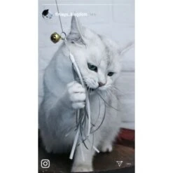 Kater Kasimir Premium Katzenangel Mit 4 Handgemachten Anhängern Aus Naturmaterial -Hochwertiger Tierbedarfsladen e6fe48d27b82d48675d665ee2a143e3c11de2fd9 1408150 de DE b29a5f7f2530ce6388e16e2600369d70b2ec0350kYn6B8