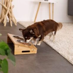 Lionto Futterstation Mit Bambusgestell -Hochwertiger Tierbedarfsladen e762634a87a53c4042e5b63f5ad9a631025e7cef 1665980 de DE 6bec3df4da87afbd35f2bf89c4f6a17e28748e22vGZNCF