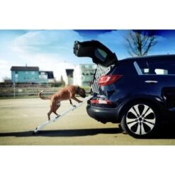 4pets Rampe EasySteps -Hochwertiger Tierbedarfsladen e900a968d8a04ba612530fdd36c5aa69f2fcdb42 13c5bbebb6d2cdec433b668e9fb0bd46dd6f4298