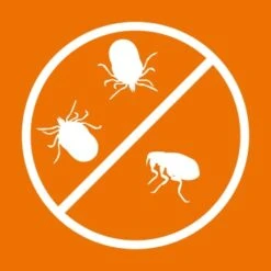 Ardap Spot-On Für Kleintiere Von 1-4 Kg -Hochwertiger Tierbedarfsladen eafa4a1cad77f9a562d7c7bcea7dc15bd7ab0abe 1201690 de DE 216402434a597a152b5e3e2d02d3c041c3a61282UYnuvk