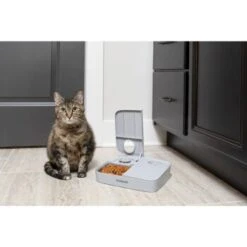 PetSafe Futterautomat Für 2 Mahlzeiten 31 PetSafe Futterautomat Für 2 Mahlzeiten -Hochwertiger Tierbedarfsladen ecfa45428902a757dc7016a44357eeb1f8b25a89 1343837 6