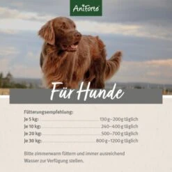 Aniforte Ente 2,4 Kg -Hochwertiger Tierbedarfsladen eee975015e2b8028b269bfe304bf1a718520f506 1422204 de DE ecf8c646fa9f7a73ce2de360e52f7434941d64248DHoZ8