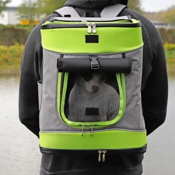 Lionto Haustier-Rucksack Grau/ Grün 4 Lionto Haustier-Rucksack Grau/ Grün – Bild 2