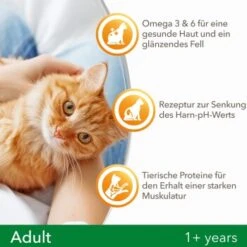 IAMS Vitality Adult Huhn 3 Kg -Hochwertiger Tierbedarfsladen f239d7ef57a6054553948e62d3d5feb16002578a 8361bd6d370c2f798bd71fa3242ca269884546de