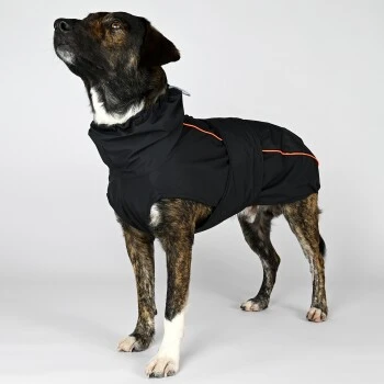 THE DOG IDEA Regenmantel Duke Schwarz XXXS 8 THE DOG IDEA Regenmantel Duke Schwarz XXXS – Bild 6
