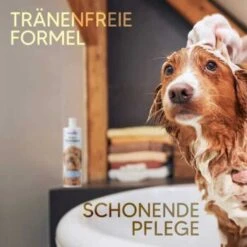Pawlie's Welpenshampoo -Hochwertiger Tierbedarfsladen f56801adb1bee6d0b5fdd328d641fa773ce5d4c4 1626204 de DE 7b87b87a2e48e8c0e12b98c918c4d75b538aae40E5TfEc