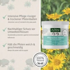 Aniforte Pfotenschutz Balsam 120ml Sommer & Winter -Hochwertiger Tierbedarfsladen f6352728d2d295839a5f9bac2123e02ea5cfd66d 1480491 de DE b4b6382b0452d366b3ffc33798d9e5be379c6ee9yrOk4E