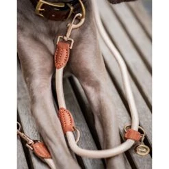 Freudentier Führleine 2m & 3-fach Verstellbar 13 Freudentier Führleine 2m & 3-fach Verstellbar -Hochwertiger Tierbedarfsladen f89940099070c3162adf440711f0edc5bb22072e 1496011 de DE 6c2382c9aa0f35ae5d0558378f7254aaf4412a67UPNndW