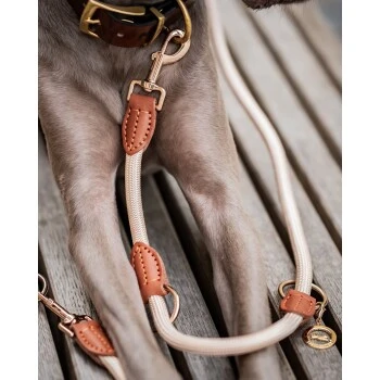 Freudentier Führleine 2m & 3-fach Verstellbar 8 Freudentier Führleine 2m & 3-fach Verstellbar – Bild 6