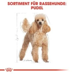 ROYAL CANIN Poodle Adult In Soße 12x85g -Hochwertiger Tierbedarfsladen fb86c0620865f030df6bf40428c3486f929a93cf 88b6bb860653cd13cab44fad51b4b8db62a7114c