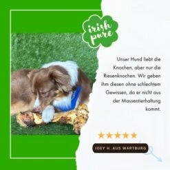 Irish Pure Giant Beef Bone -Hochwertiger Tierbedarfsladen fc09e467ac9750001a659038364b0790920982a2 1288899 de DE 3b559e712b4a15ebe21ce4f69265d21fcd9b4a9efdhT7I