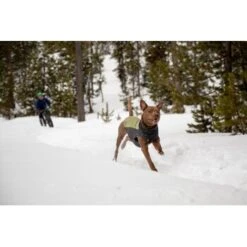 Ruffwear Climate Changer™ Fleece-Pullover Für Hunde Rot S -Hochwertiger Tierbedarfsladen fc22c2bf571467d3b4a13f07039506d1e744f556 1369661 de DE a9fba8eb5491b88489a9522880e926a6833ccfbe7NJDVr